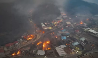 Cənubi Koreyada meşə yanğınları: onlarla insan həlak olub