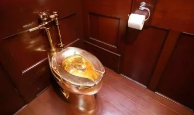 Qızıl unitaz oğurlandı: dəyəri 5 milyondan çox - FOTO