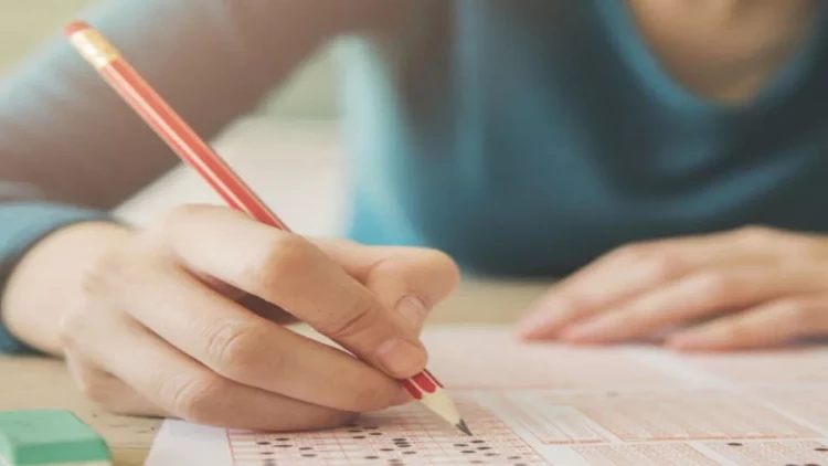 MİQ-də iştirak edə biləcək qeyri-pedaqoji ixtisasların SİYAHISI - FOTOlar