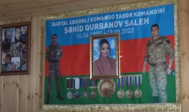 Şəhid olan qardaşının arvadını öldürmüşdü - bu cəza verildi - FOTO