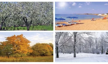 Azərbaycanda bu fəsil sıradan çıxır - Ekoloq