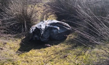 Xəzərdə balıqçılarda 10 kq narkotik aşkarlanıb - FOTO