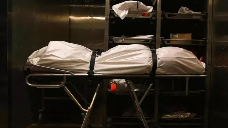 700-ə yaxın itkin düşmüş şəxsə aid meyit qalığı aşkarlanıb, 165-i ailələrinə təhvil verilib