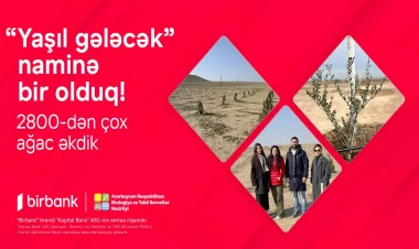 Birbank-lılar “Yaşıl gələcək” naminə 2800-dən çox ağac əkdilər