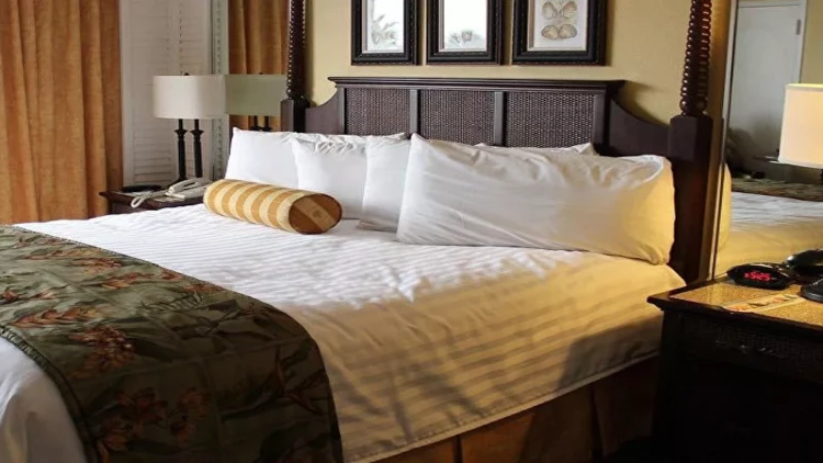 Bakıda bu mehmanxananın fəaliyyəti dayandırıldı - FOTOlar