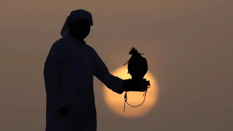 Azərbaycanda qanunsuz ov edən ərəblər CƏRİMƏLƏNDİ