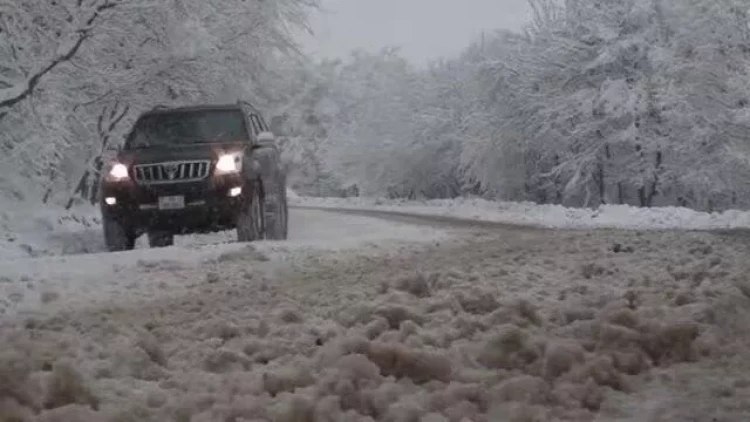 Qarın bitməyən fəsadları – Sürüşmə zonaları aktivləşir - VİDEO