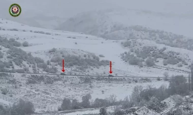 Avropa İttifaqının “müşahidəçilər