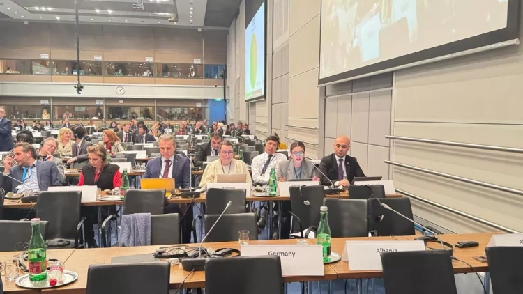 Azərbaycan fundamental azadlıqları qoruyaraq dezinformasiyaya qarşı fəal mübarizə aparır - Sevinc Fətəliyeva - VİDEO - FOTO