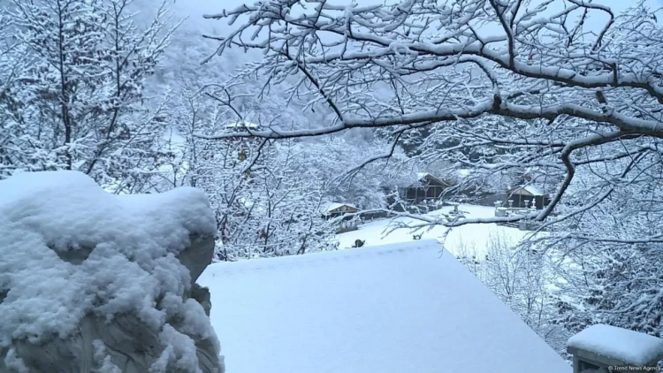 Ağappaq qar örpəyinə bürünmüş Şəkidən FOTOREPORTAJ