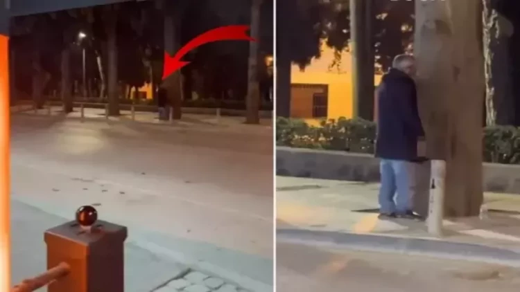 Heç kimi olmayan adam ağacla danışdı - VİDEO