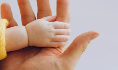 Ötən il Azərbaycanda ölən və yeni doğulanların sayı açıqlandı