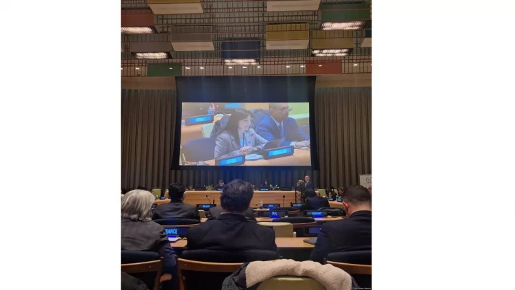 Sevil Mikayılova BMT-nin mənzil-qərargahında keçirilən dinləmələrdə Azərbaycanın qeyri-neft ixracının genişləndirilməsindən danışıb - VİDEO