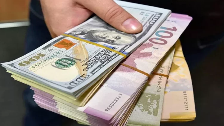 Qanunsuz valyuta mübadiləsi ilə məşğul olan şəxs SAXLANILDI