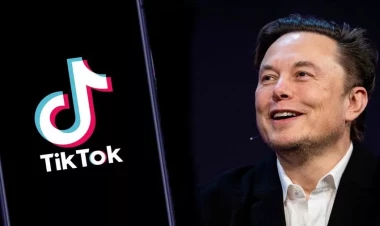 Mask “TikTok”ı almaqda maraqlı olmadığını bildirib