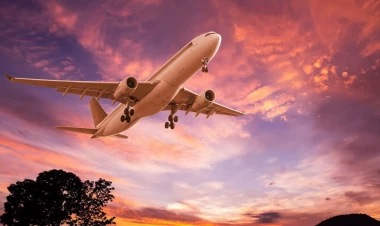 Ardıcıl təyyarə qəzalarından sonra pilotun dediyi bu sözlər GÜNDƏM OLDU - FOTO