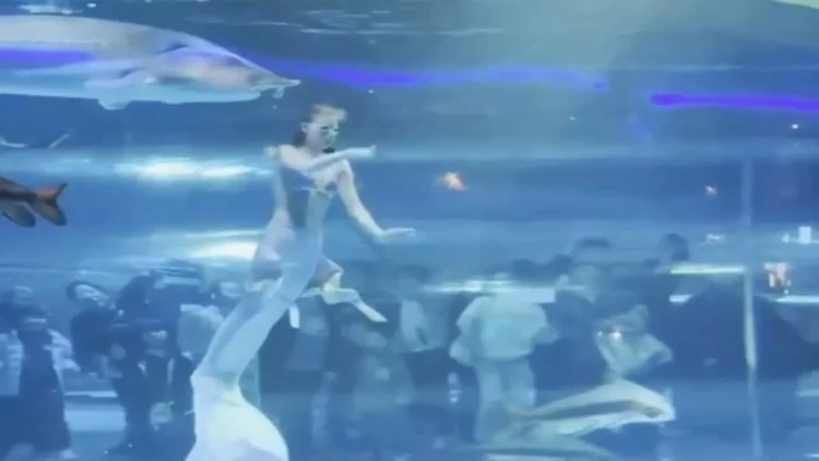 Akvariumda dəhşət: Nəhəng balıq 