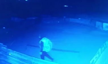 Silahlılar 62 baş xırdabuynuzlu heyvanı belə oğurladı - VİDEO