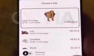 5000 avroluq taksi xidməti var - Qapını meymun açır - VİDEO
