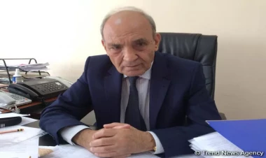 GECF Azərbaycanda keçiriləcək COP29-da effektiv rolu oynaya bilər – İranın neft naziri