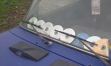 Maşınların ön şüşəsinə vurulan disklər radardan qoruyur? - Mütəxəssis CD-lərin faydasından danışdı - FOTO