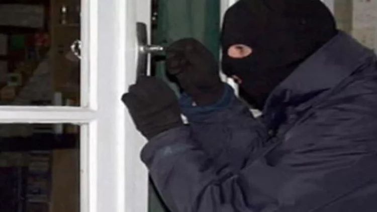 Yuxuda oğru görmək nələrə işarə edir? - YUXU YOZMALAR