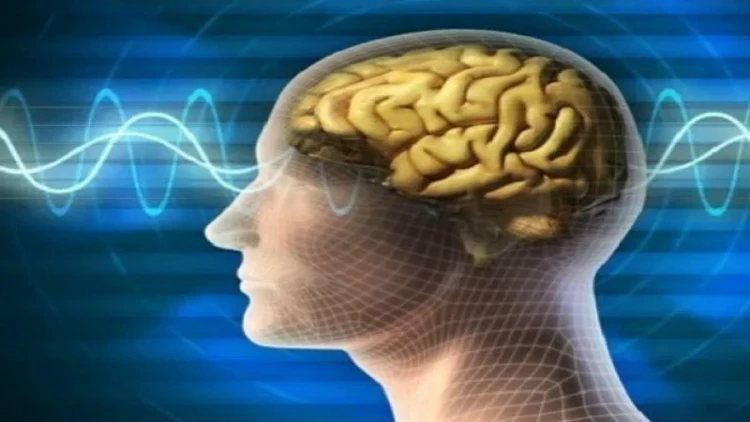 Beyini pozan həddən artıq informasiya yüklənməsi:  Alimlərin təsəlliverici nəticələri