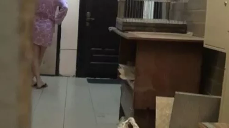 Keçmiş sevgilisinin evinə gizli kamera quraşdırdı - Gördüklərindən dəhşətə gəldi - FOTOLAR