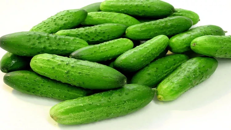 Alimlər xiyar qabığında təhlükəli maddə aşkar etdilər - Diqqətli olun