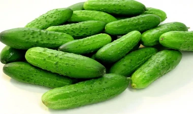 Alimlər xiyar qabığında təhlükəli maddə aşkar etdilər - Diqqətli olun