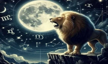 Bürclərin xüsusiyyətləri: Şirlərin müsbət və mənfi tərəfləri