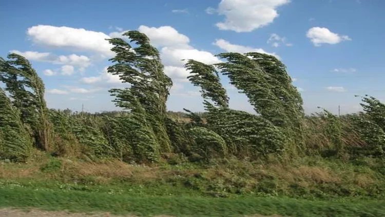 Küləklə bağlı sarı xəbərdarlıq