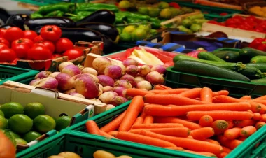 Azərbaycan meyvə-tərəvəz ixracından nə qədər gəlir əldə edib?