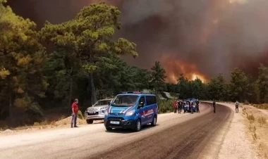 Türkiyə bu qədər vətəndaşını təxliyə etdi