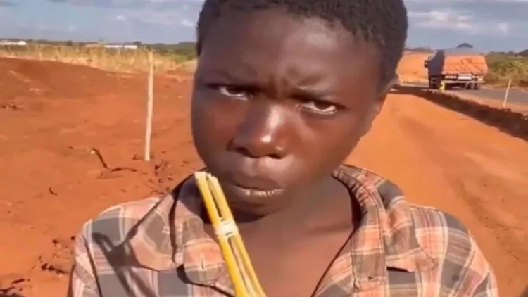 Meymunçiçəyi virusu siçanlardan insanlara necə keçir? - VİDEO