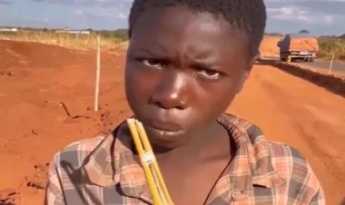 Meymunçiçəyi virusu siçanlardan insanlara necə keçir? - VİDEO