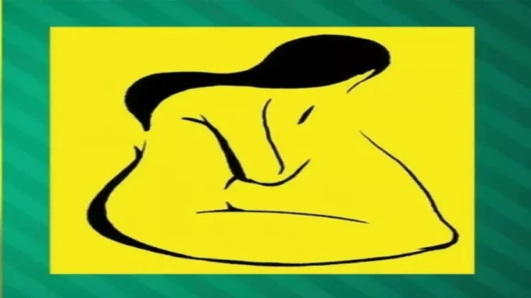 Fotoda ilk nə gördünüz? –  Psixoloji test