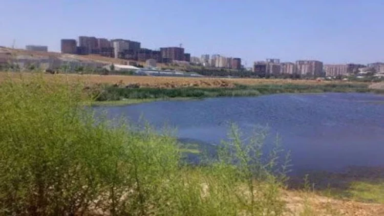 Gölməçədə qadın meyiti tapıldı