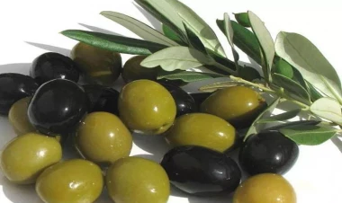 Niyə gündə 10 zeytun yeyilməlidir? - İnanılmaz faydaları