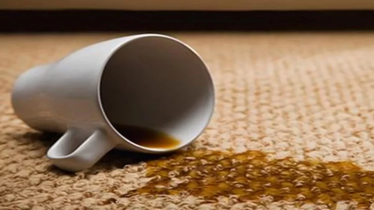 Xalçadan ləkələri necə çıxarmaq olar? - 3 üsul