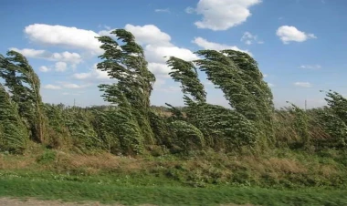 Küləkli hava ilə bağlı sarı xəbərdarlıq