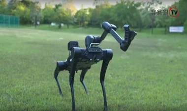 Gələcəyin təhlükəsizlik qoruyucusu: Robot-itlərin sınaqlarına başladı