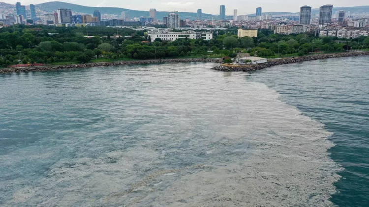 Mərmərə dənizinin vəziyyəti ilə bağlı həyəcan təbili