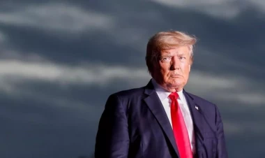 Tramp Baydeni tərəvəzlə müqayisə etdi