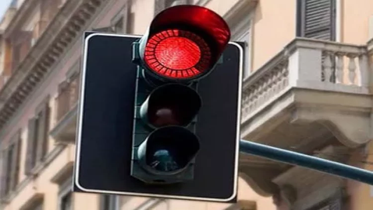 İşıqforlar haqqında bilmədiyiniz maraqlı faktlar