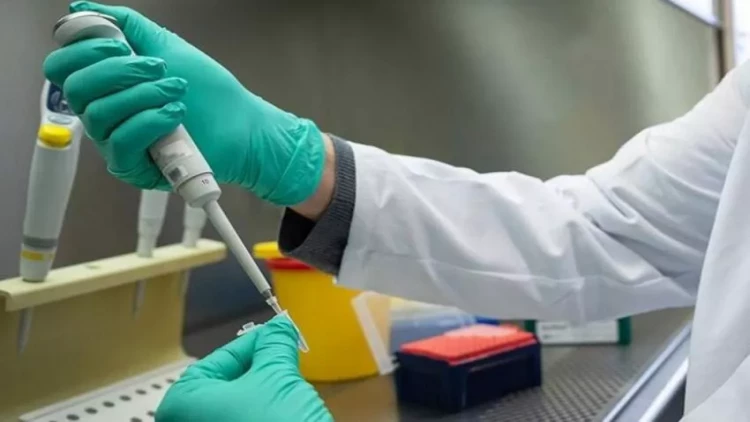 COVID-in FLiRT ştamı daha yoluxucudur