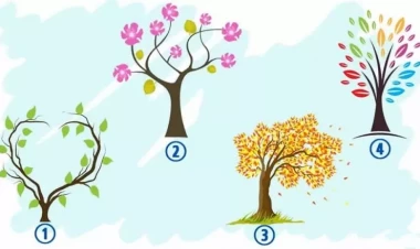 Şəxsiyyət testi - Sən necə insansan?