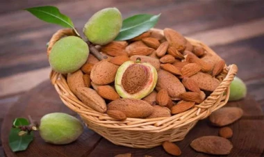 Bu çərəz qanda “pis” xolesterinin səviyyəsini azaldır