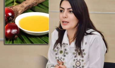 Palma yağından hazırlanan qidalar zərərlidir? - AÇIQLAMA