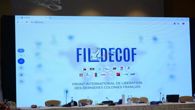 Beynəlxalq Azadlıq Cəbhəsinin saytı istifadəyə verildi